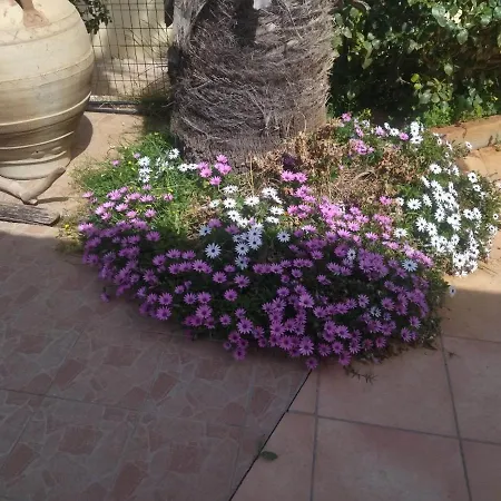 Apartmán Rosa Kreta / Old Hersonissos (Crete)