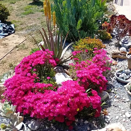 Rosa Kreta / Old Apartmán *